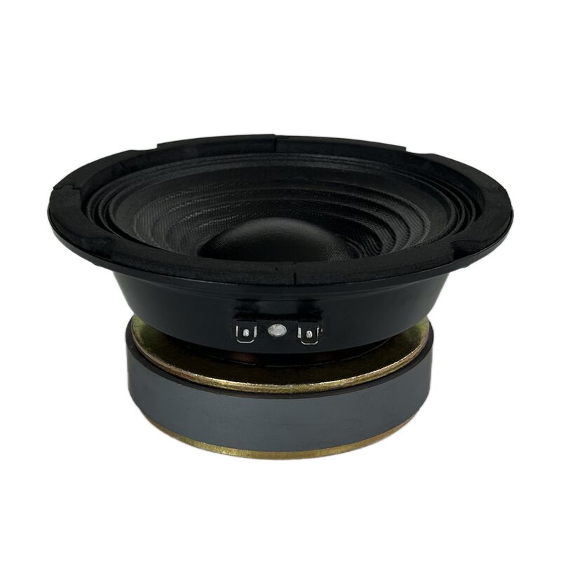 SPM-630SC 6.5 Inch Midrange