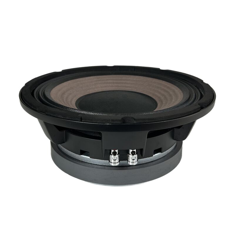 SPW-1076AC 10 Inch Woofer
