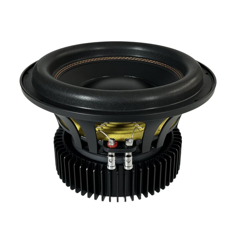 SPW-1080AF 10 Inch Subwoofer