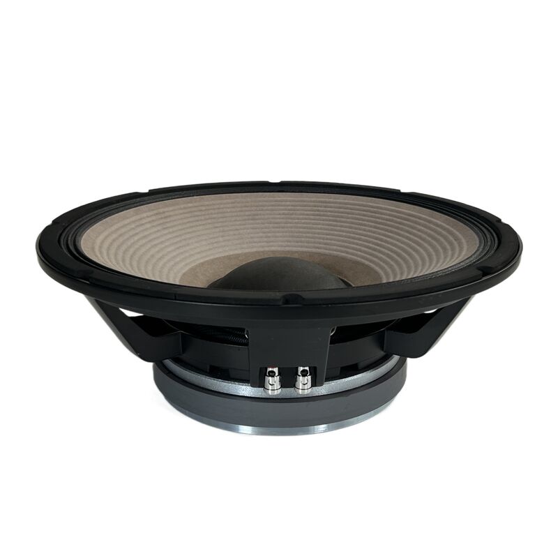 SPW-15100AC 15 Inch Woofer